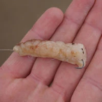 TronixPro Baiting Tool